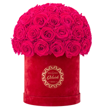 Velvet Special Collection bouquet with more than 50 Roses