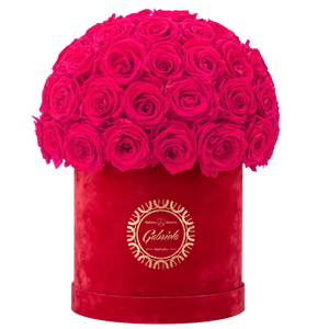 Velvet Special Collection bouquet with more than 50 Roses