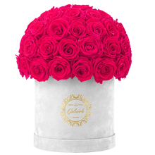 Velvet Special Collection bouquet with more than 50 Roses
