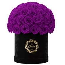 Velvet Special Collection bouquet with more than 50 Roses