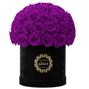 Velvet Special Collection bouquet with more than 50 Roses