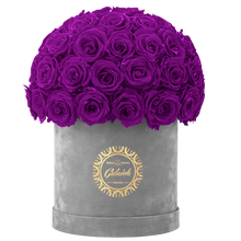 Velvet Special Collection bouquet with more than 50 Roses