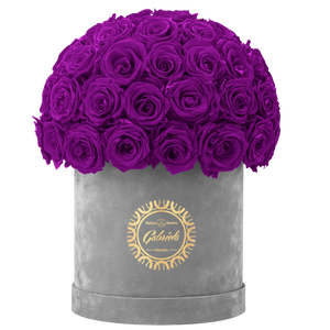 Velvet Special Collection bouquet with more than 50 Roses