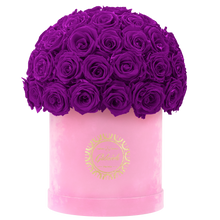 Velvet Special Collection bouquet with more than 50 Roses