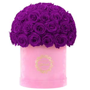Velvet Special Collection bouquet with more than 50 Roses