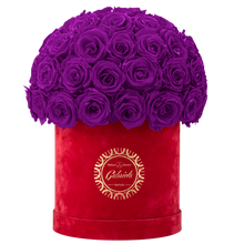 Velvet Special Collection bouquet with more than 50 Roses