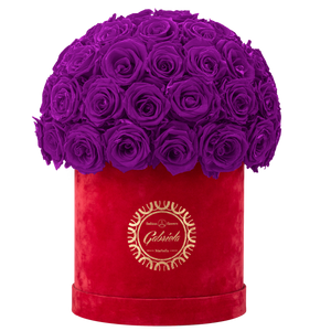 Velvet Special Collection bouquet with more than 50 Roses