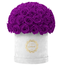Velvet Special Collection bouquet with more than 50 Roses