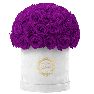 Velvet Special Collection bouquet with more than 50 Roses