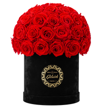 Velvet Special Collection bouquet with more than 50 Roses