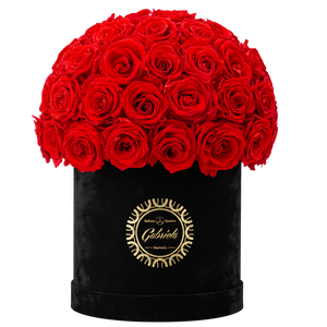Velvet Special Collection bouquet with more than 50 Roses