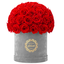 Velvet Special Collection bouquet with more than 50 Roses