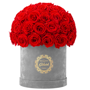 Velvet Special Collection bouquet with more than 50 Roses