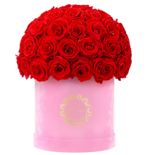 Velvet Special Collection bouquet with more than 50 Roses