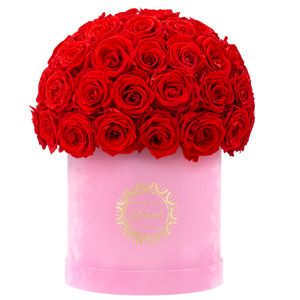 Velvet Special Collection bouquet with more than 50 Roses