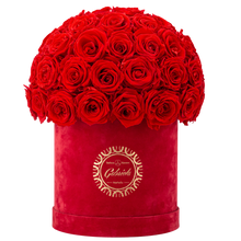 Velvet Special Collection bouquet with more than 50 Roses