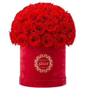 Velvet Special Collection bouquet with more than 50 Roses