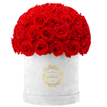Velvet Special Collection bouquet with more than 50 Roses