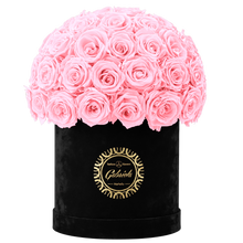 Velvet Special Collection bouquet with more than 50 Roses