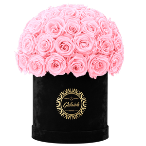 Velvet Special Collection bouquet with more than 50 Roses