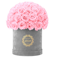 Velvet Special Collection bouquet with more than 50 Roses
