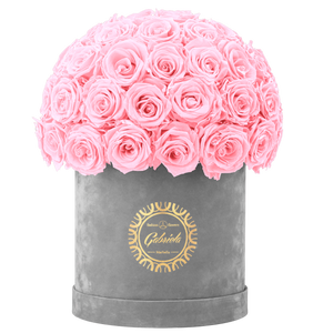 Velvet Special Collection bouquet with more than 50 Roses
