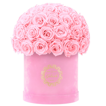 Velvet Special Collection bouquet with more than 50 Roses
