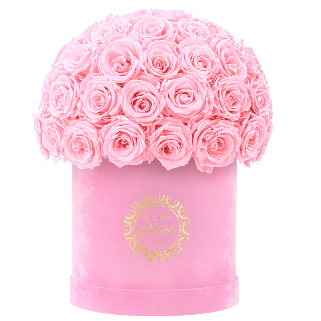 Velvet Special Collection bouquet with more than 50 Roses
