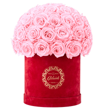 Velvet Special Collection bouquet with more than 50 Roses