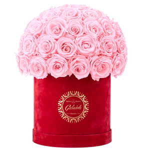 Velvet Special Collection bouquet with more than 50 Roses