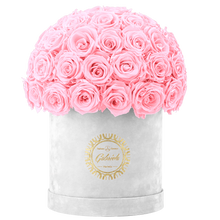 Velvet Special Collection bouquet with more than 50 Roses