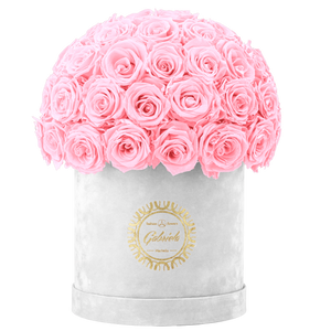 Velvet Special Collection bouquet with more than 50 Roses