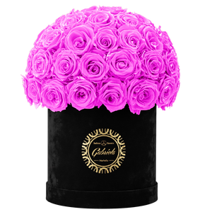 Velvet Special Collection bouquet with more than 50 Roses