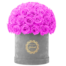 Velvet Special Collection bouquet with more than 50 Roses