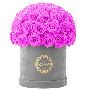 Velvet Special Collection bouquet with more than 50 Roses