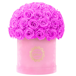 Velvet Special Collection bouquet with more than 50 Roses