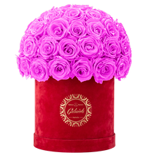 Velvet Special Collection bouquet with more than 50 Roses
