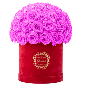 Velvet Special Collection bouquet with more than 50 Roses