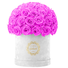 Velvet Special Collection bouquet with more than 50 Roses