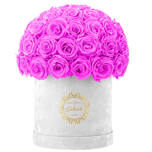 Velvet Special Collection bouquet with more than 50 Roses
