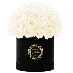 Velvet Special Collection bouquet with more than 50 Roses