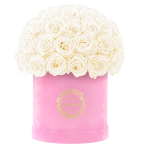 Velvet Special Collection bouquet with more than 50 Roses