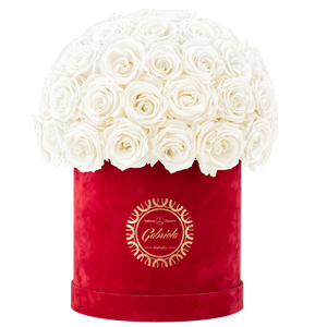 Velvet Special Collection bouquet with more than 50 Roses