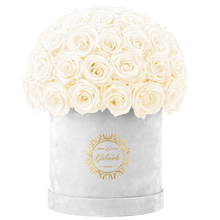 Velvet Special Collection bouquet with more than 50 Roses