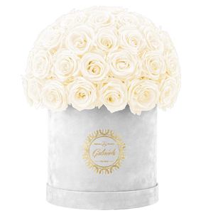 Velvet Special Collection bouquet with more than 50 Roses