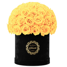 Velvet Special Collection bouquet with more than 50 Roses