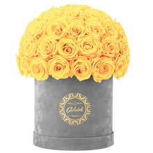 Velvet Special Collection bouquet with more than 50 Roses