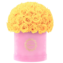 Velvet Special Collection bouquet with more than 50 Roses