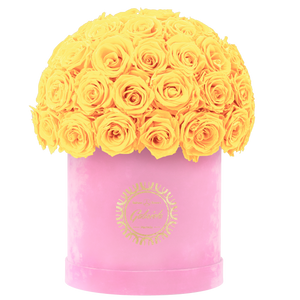 Velvet Special Collection bouquet with more than 50 Roses