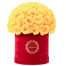 Velvet Special Collection bouquet with more than 50 Roses